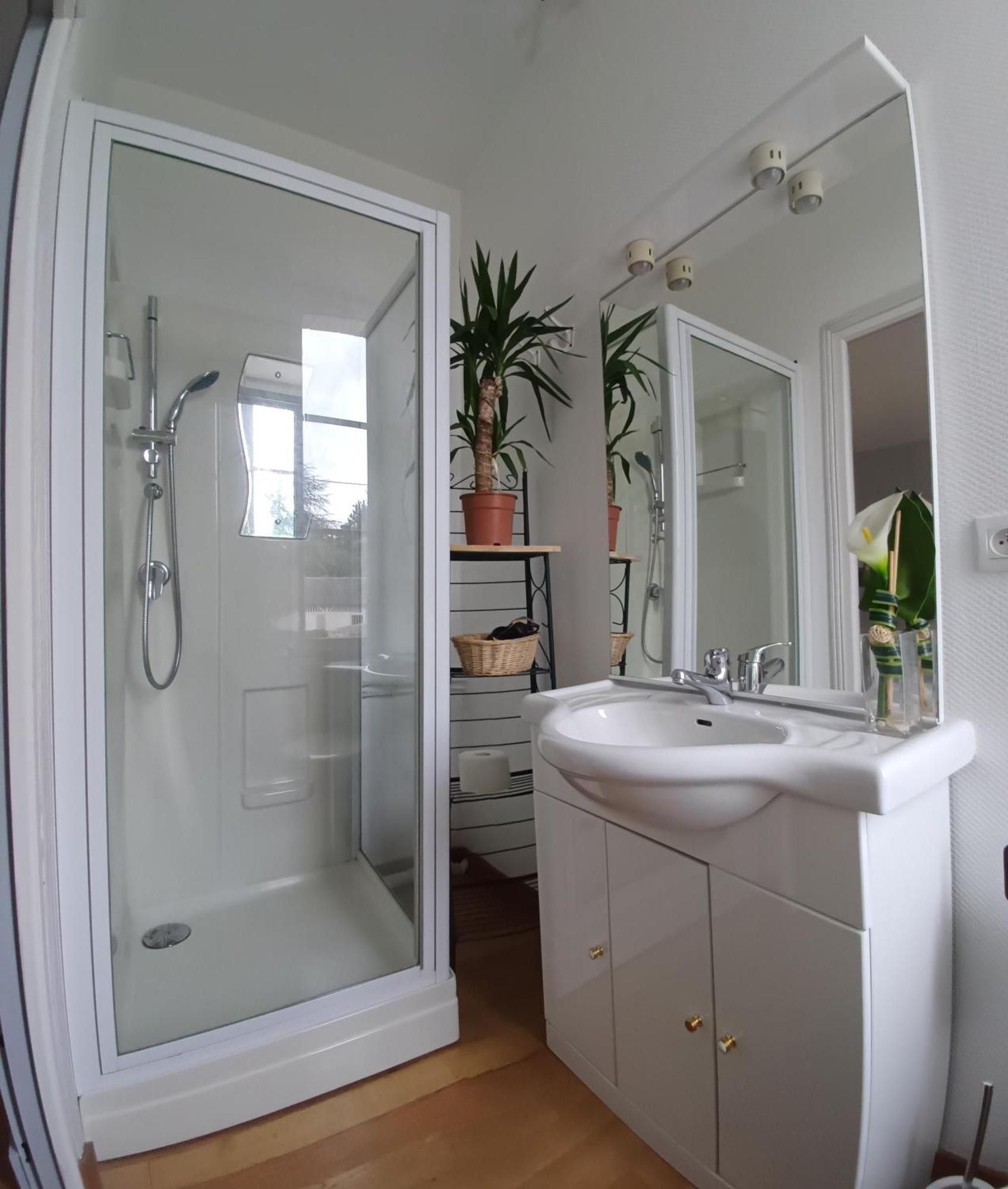 Le Jardin Des Lys - Chambre D'Hote Ou Appartement La Roche-Posay Zimmer foto
